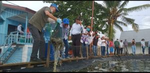 Panen Perdana Udang Vaname, Wabup Halbar Apresiasi Dinas Perikanan