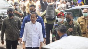 Antusias Warga Sambut Kedatangan Presiden Jokowi Di Kabupaten Halmahera Barat