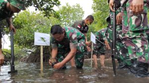 TNI Melalui Dandim 1501 Ternate Pelestarian Alam Pesisir Melalui Penanaman Mangrove